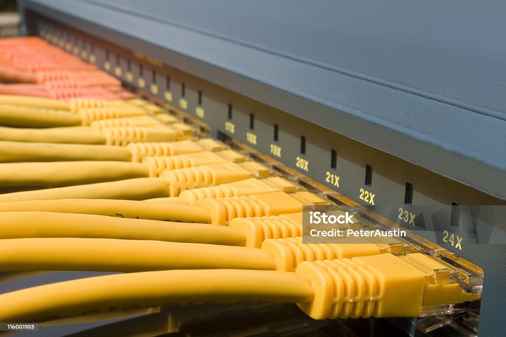 Twenty-Four Ports 24 port ethernet switch close up, shallow depth of field. Patch Cord Cable Stock Photo