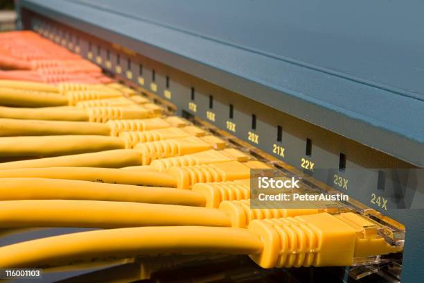 Twentyfour Ports Stock Photo - Download Image Now - Patch Cord Cable, Bandwidth, Business
