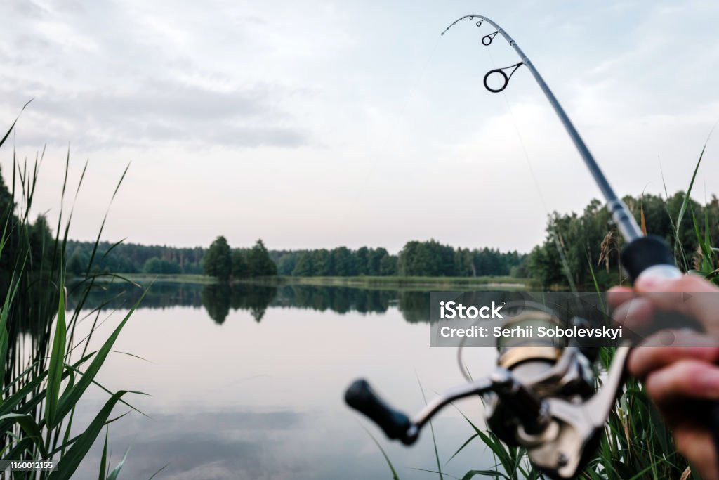 Fisherman With Rod Spinning Reel On The River Bank Fishing For Pike Perch  Carp Fog Against The Backdrop Of Lake Background Misty Morning Wild Nature  Article About Fishing Day Stock Photo 