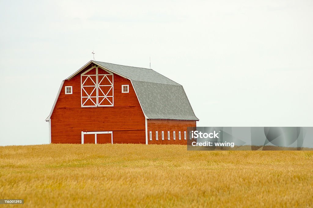 Celeiro vermelho e campo de cereais - Foto de stock de Figura para recortar royalty-free