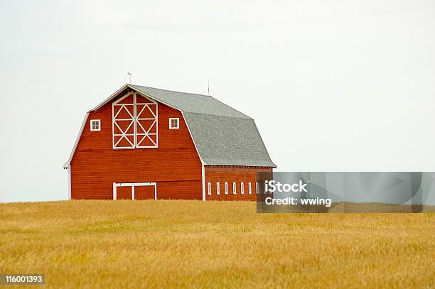 Vermelho Celeiro E Campo De Grãos - Fotografias de stock e mais imagens de Figura para recortar - Figura para recortar, Celeiro, Celeiro vermelho