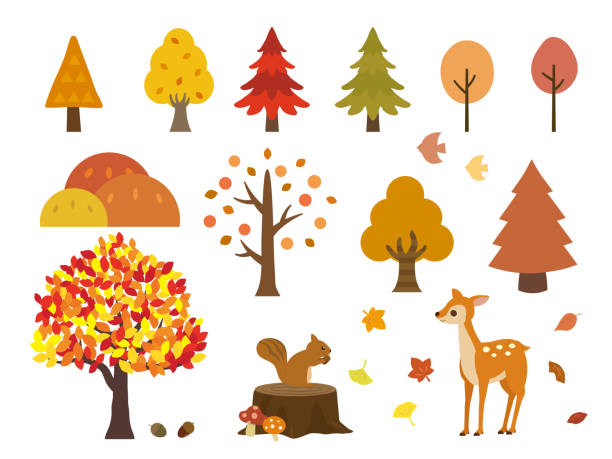 ilustrações de stock, clip art, desenhos animados e ícones de autumn set3 - trees in fall