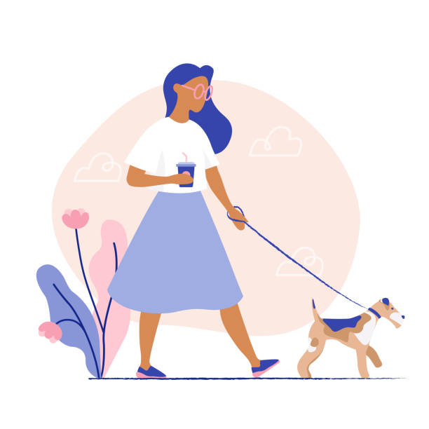 frau zu fuß den hund. frau mit ihrem haustier. - pet walking stock-grafiken, -clipart, -cartoons und -symbole