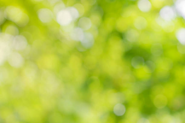 istock Nature background. Element of design. 1160018692