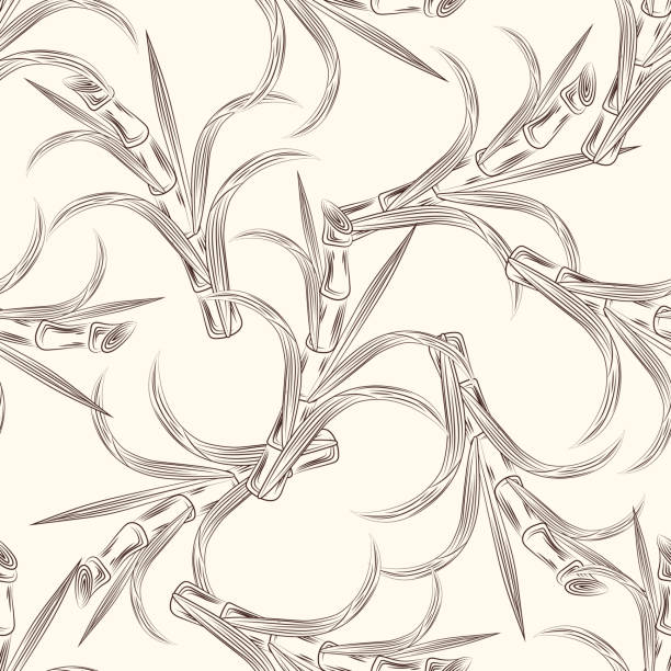 стебли сахарного тростника с листьями бесшовной картины. - seamless bamboo backgrounds textured stock illustrations