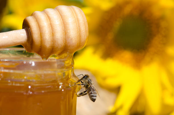 Bee sitting on  glass of honey Hohey in glass jars  and  western honey bee. Honey Bee on nature  background . Honey with flying honey bee honey crisp stock pictures, royalty-free photos & images