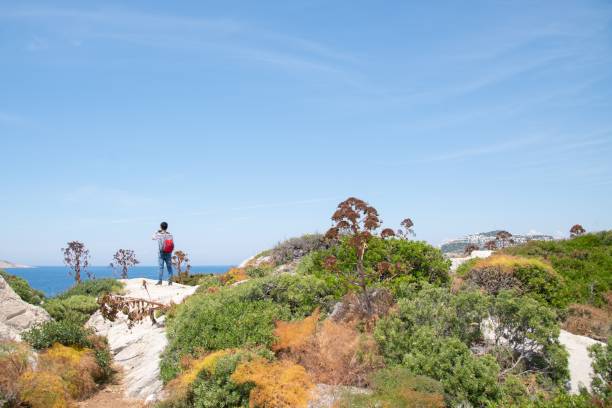 istock Man taking a photo during his hike 1160021464