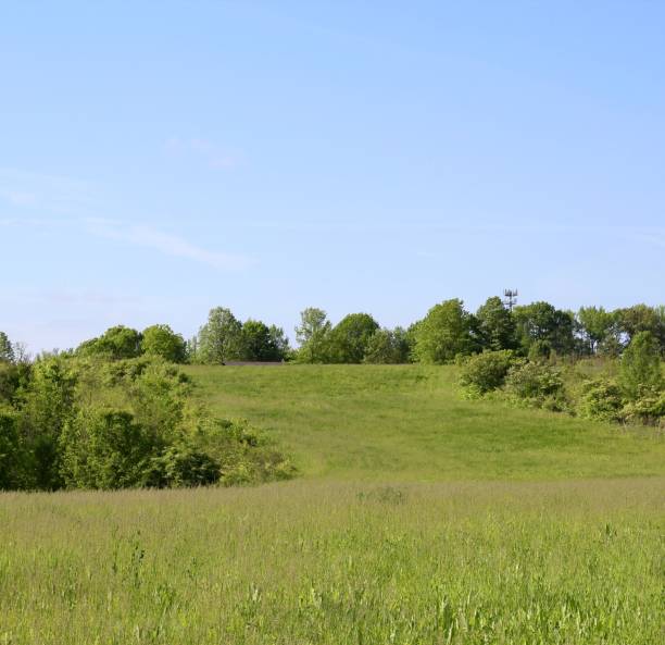 istock Green Spring Countryside Landscape 1160025680
