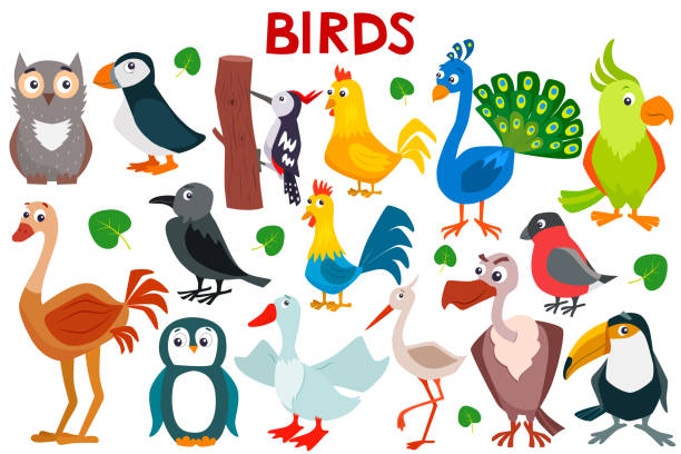 istock Set of cute cartoon birds. 1160026606