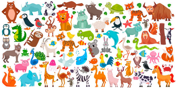 ilustraciones, imágenes clip art, dibujos animados e iconos de stock de conjunto de animales de dibujos animados lindos. - symbol sea animal owl