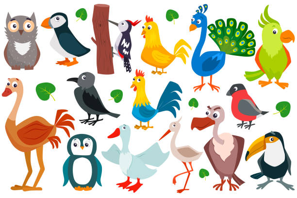 istock Set of cute cartoon birds. 1160026737