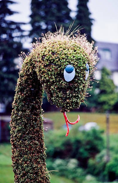 Nessie, the cute Loch Ness Monster