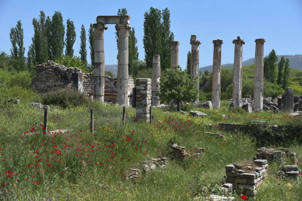 rovine dell'antica città afrodisia, tacchino - ancient past arch natural arch foto e immagini stock