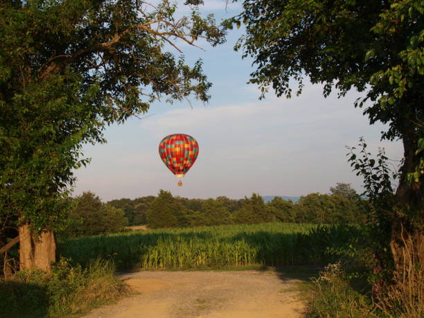 istock Hot air ballon hovers over a corn field 1160029806