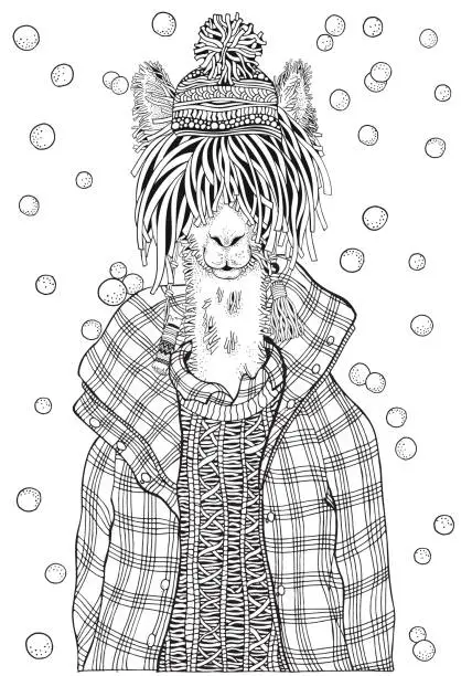 Vector illustration of Winter llama in a checkered jacket. Adult Coloring book page. Hand-drawn vector illustration. Coloring book page for adult and children.