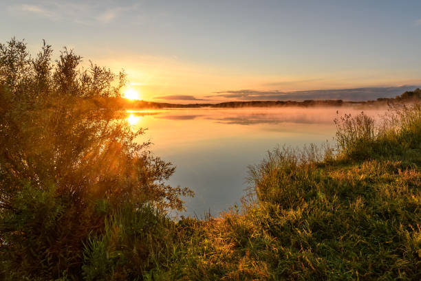 lake sunrise sun fog grass Amazing golden sunrise on the lake with sun, clouds, grass in the foreground and reflections summer flower lake awe stock pictures, royalty-free photos & images
