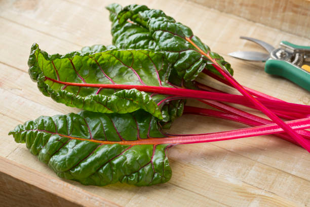 istock Red stemmed chard and leaves 1160038620