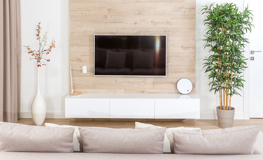 Modern living room with tv equipment and sofa