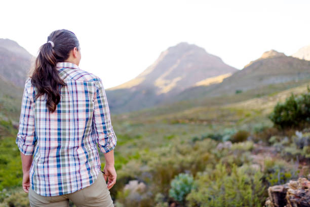 istock Back view of hiker overlooking mountainous  landscape 1160039655