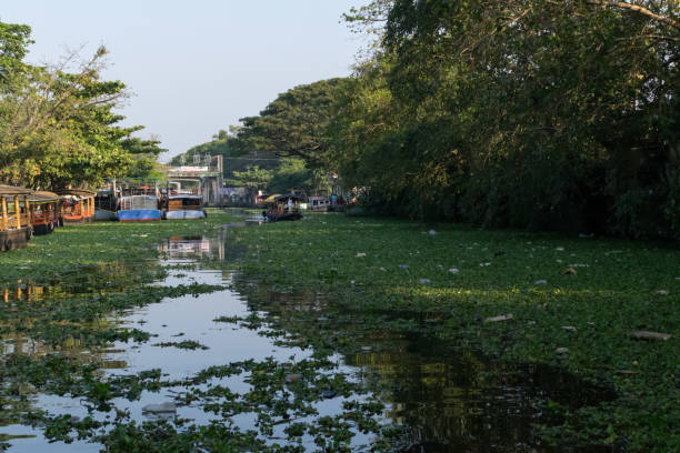 istock Backwater tours at Allepy, Kerala, south India 1160041925