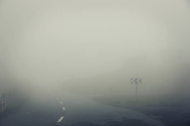 low angel view of empty country road through forest on misty day in late autumn season, shallow focus on asphalt in front, background blurred