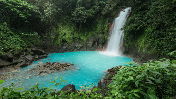 Rio Celeste -National Park Tenorio - Costa-Rica A triopical waterfall of Rio Celeste in National Park Tenorio Volcano - Costa Rica costa rica photos stock pictures, royalty-free photos & images