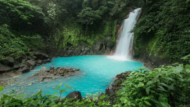 A triopical waterfall of Rio Celeste in National Park Tenorio Volcano - Costa Rica