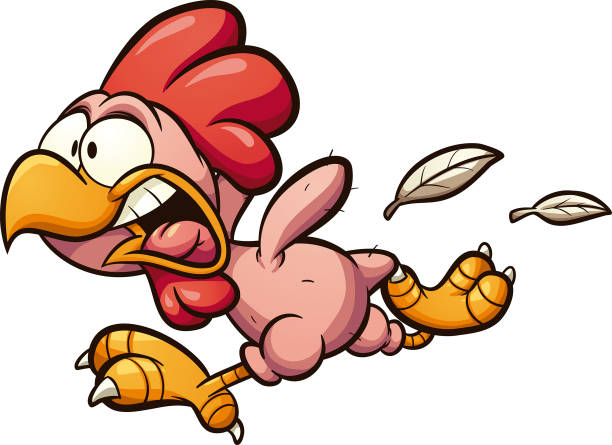 Plucked chicken Plucked cartoon chicken running scared clipart. Vector illustration with simple gradients. All in a single layer. scared chicken cartoon stock illustrations