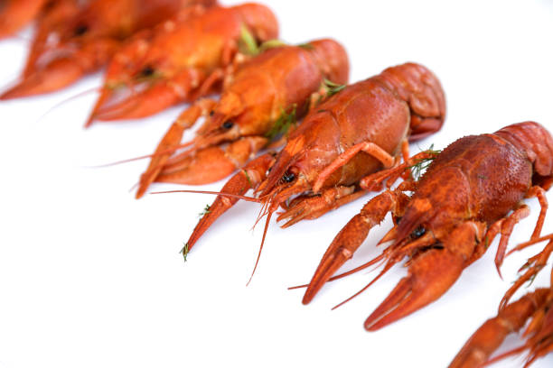 istock Several boiled crawfish isolated on white. top view. Flat lay 1160046462