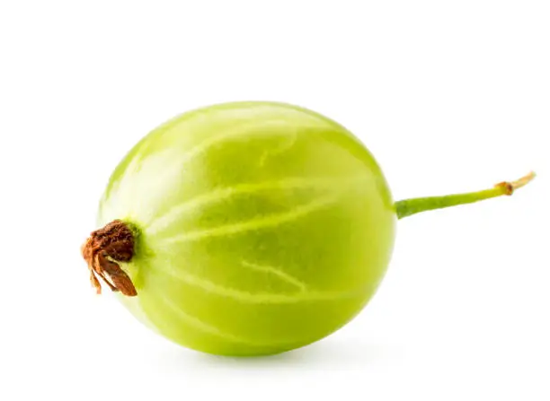 Green gooseberry closeup on a white background. Isolated