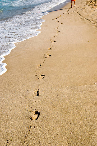 pasos en la arena - sand footprint track following fotografías e imágenes de stock