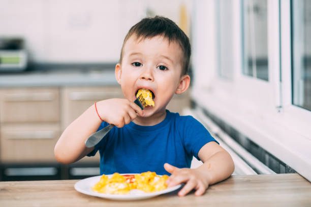 istock a child in a t-shirt in the kitchen eating an omelet, a fork 1160049350