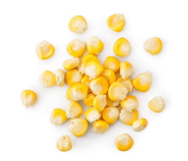 istock Corn grain on a white background, isolated. The view of the top. 1160050805
