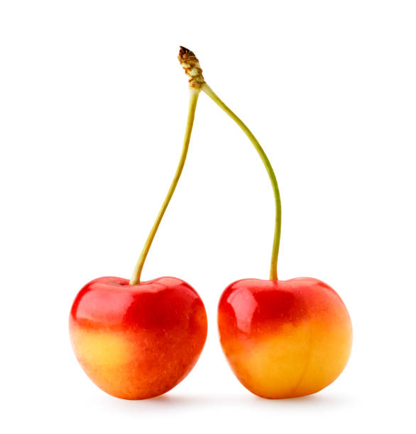 istock Two yellow cherries with a red side on a white, isolated. 1160051500