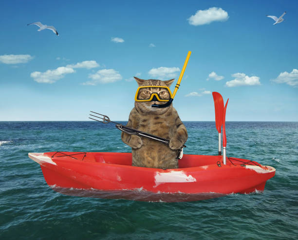 istock Cat underwater hunter in a red boat 1160051588