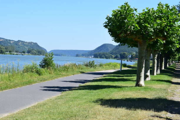 istock Rhine river waterfront Bad Breisig 1160052098