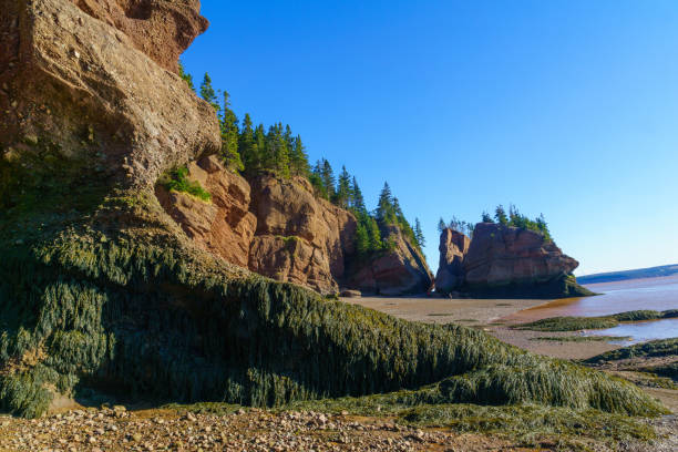 istock Hopewell Rocks at low tide 1160053026