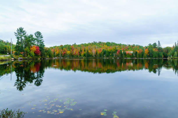 istock Lake Masson, in the Laurentian 1160053722