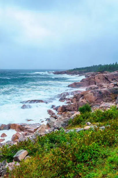 Photo of Landscape (near Lakies Head), in Cape Breton Highlands National Park