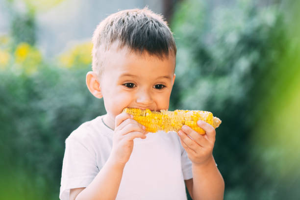 istock cute boy in the garden or Park outdoors eating boiled corn is very appetizing 1160054466