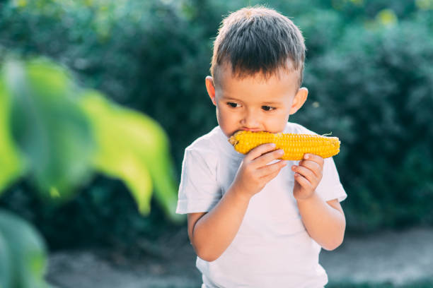 istock cute boy in the garden or Park outdoors eating boiled corn is very appetizing 1160054835