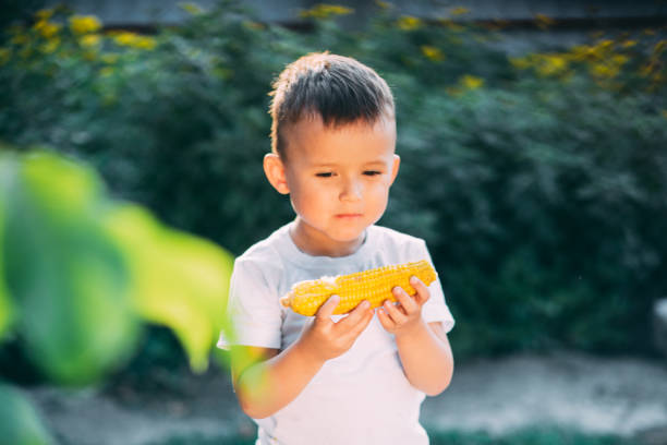 istock cute boy in the garden or Park outdoors eating boiled corn is very appetizing 1160054896