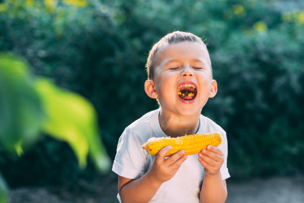istock cute boy in the garden or Park outdoors eating boiled corn is very appetizing 1160054966
