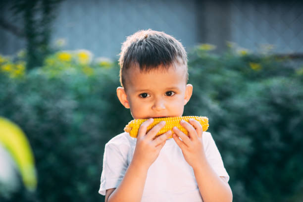 istock cute boy in the garden or Park outdoors eating boiled corn is very appetizing 1160056794