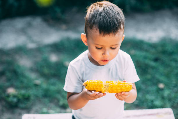 istock cute boy in the garden or Park outdoors eating boiled corn is very appetizing 1160056803