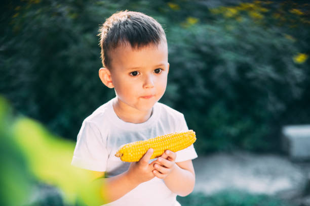 istock cute boy in the garden or Park outdoors eating boiled corn is very appetizing 1160056963