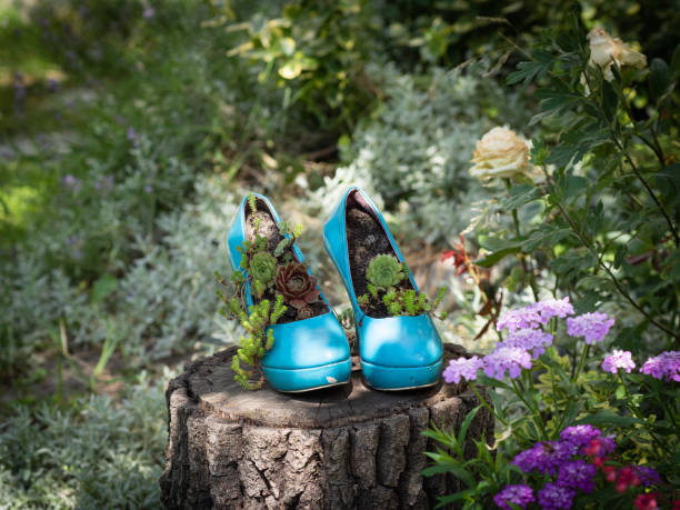 istock Worn out blue second hand stilettos / high heels upcycled into eco friendly planters / flowerbeds / flower pots. gardening idea. 1160057591