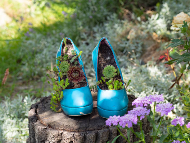 istock Worn out blue second hand stilettos / high heels upcycled into eco friendly planters / flowerbeds / flower pots. gardening idea. 1160057646