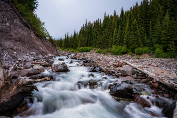 istock White River At Mount Rainier National Park In Early Summer 1160058173