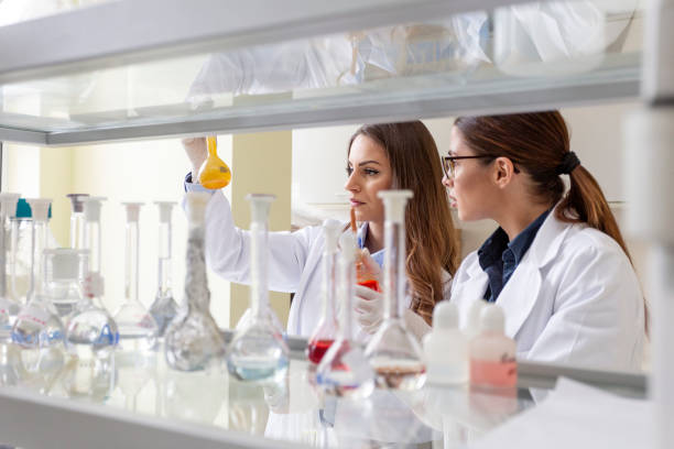 istock Two young woman work in laboratory on analyze 1160058266